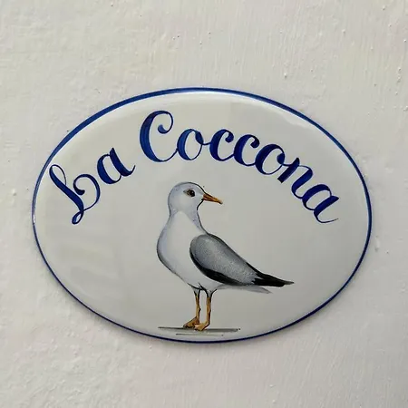 Apartament La Coccona *